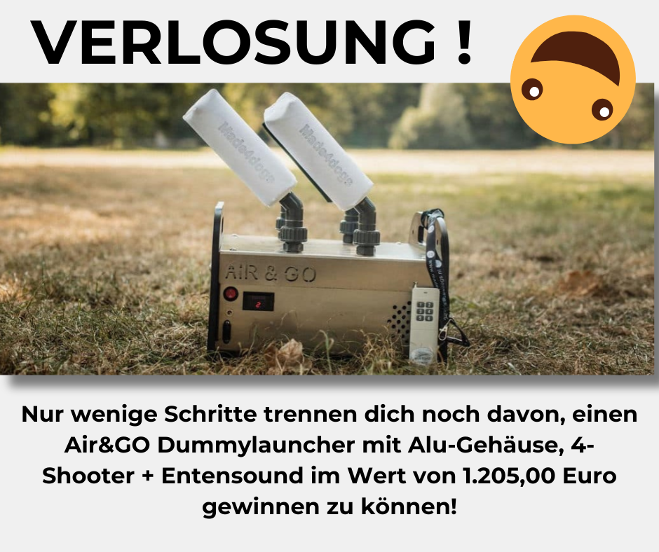 VERLOSUNG Air&GO 4-Shooter Dummylauncher