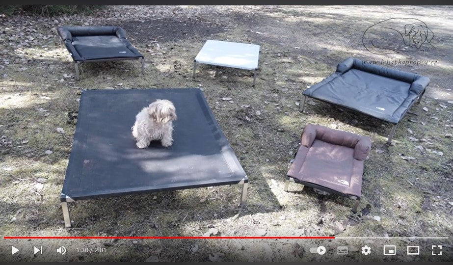 ANADI Indoor und Outdoor Hundeliegen - Du wirst sie lieben und Dein Hund auch