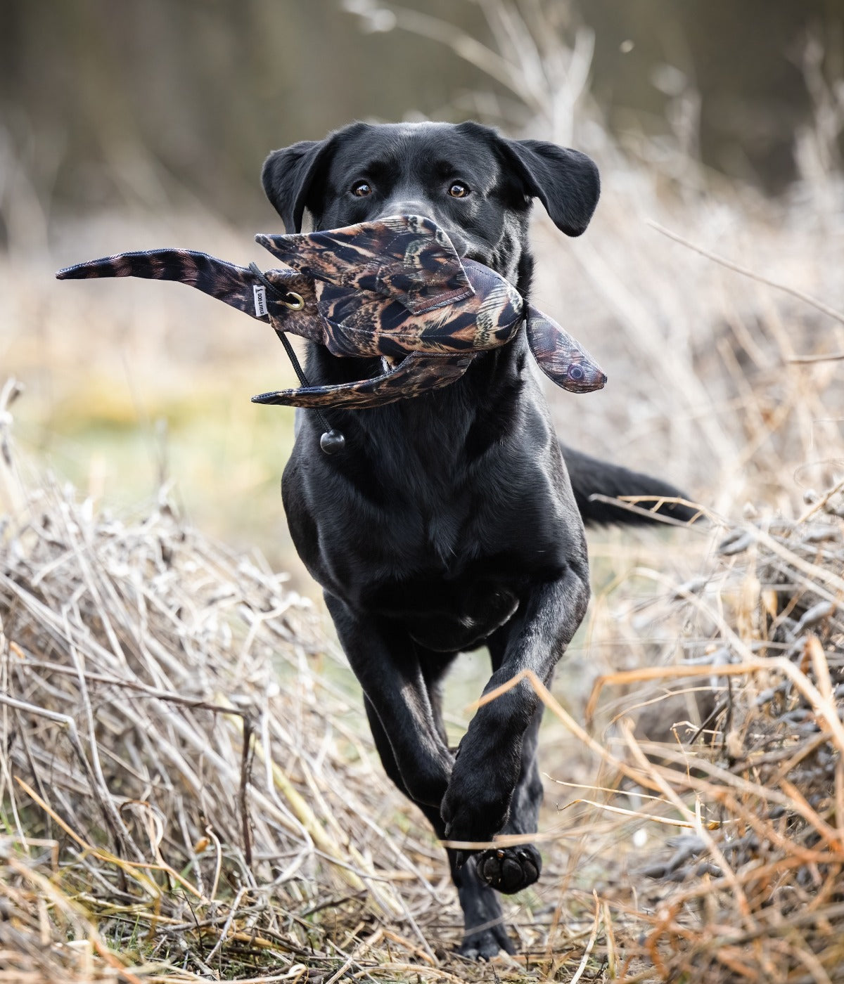 Frau mit Dummytasche und Wildattrappen zur Arbeit mit Retrievern und anderen Apportierhunden