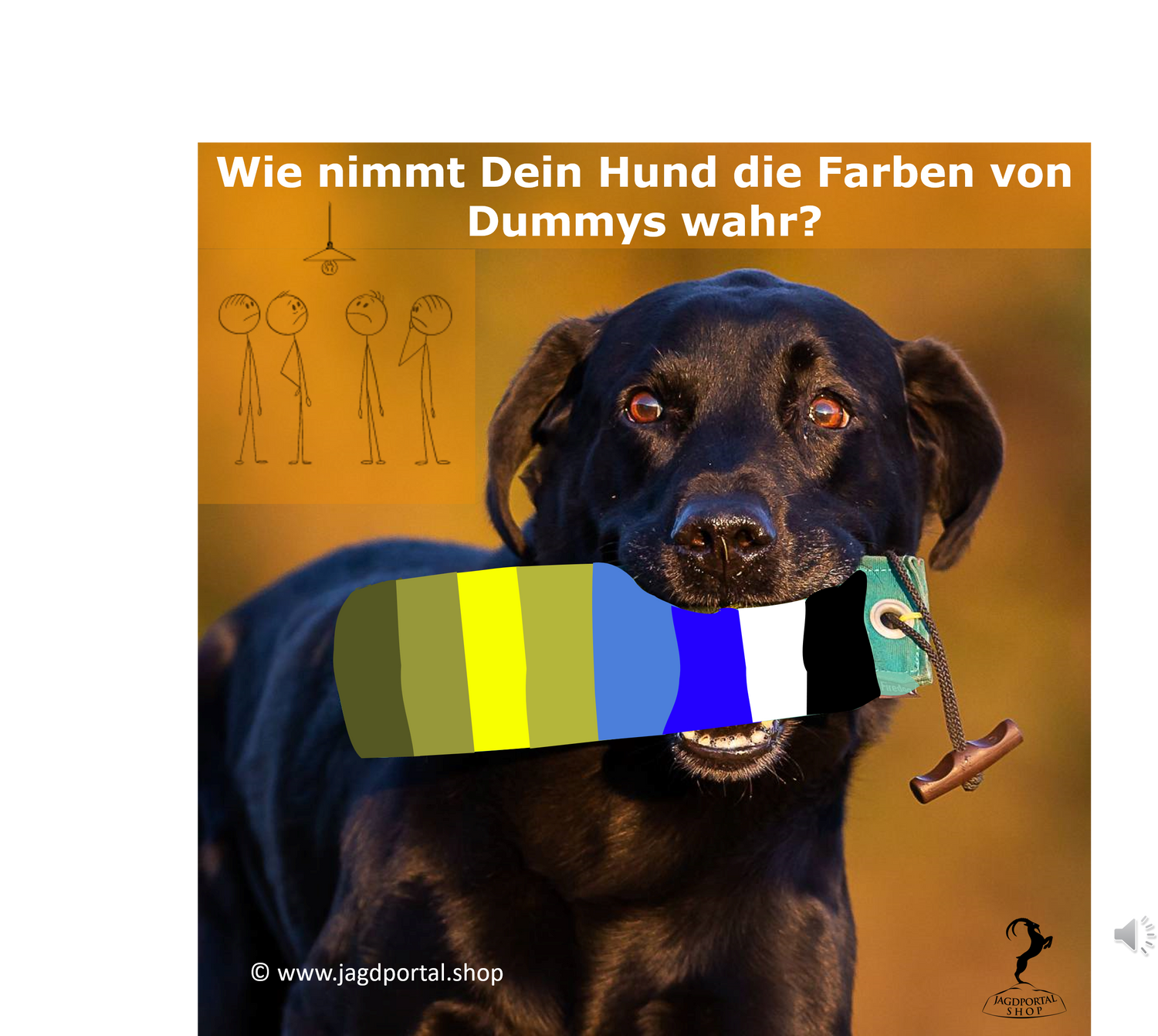 Wie Hunde verschiedene Farben wahrnehmen am Beispiel eines Dummys zum Hundetraining