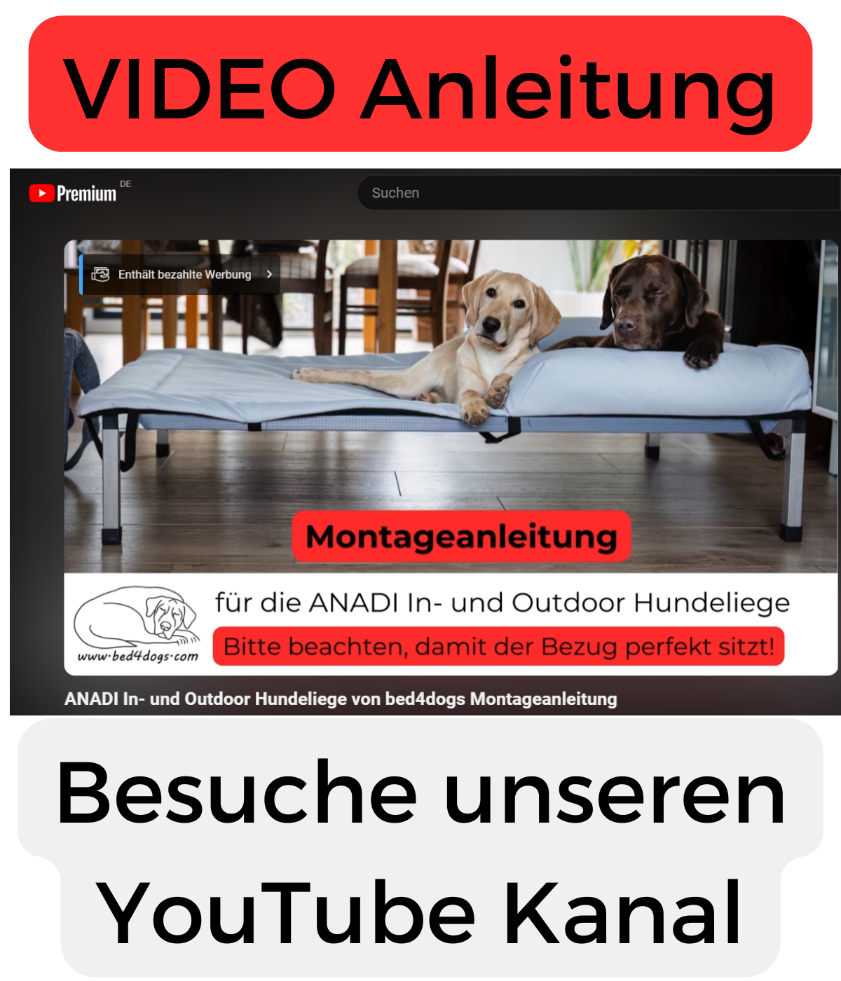 VIDEO Montageanleitung für die ANADI Hundeliege