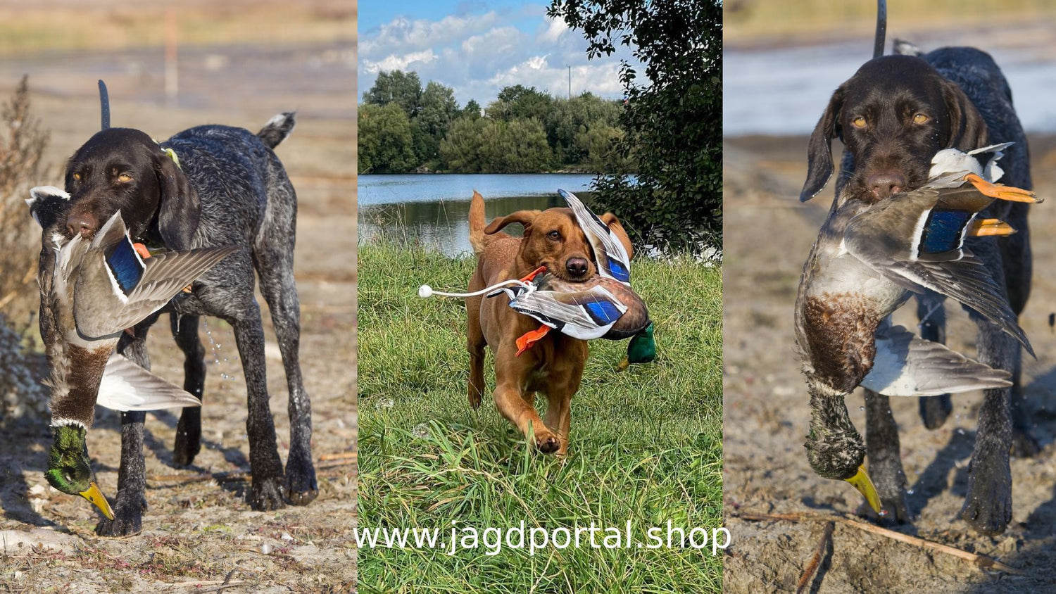 dead birds - neumodischer Furz oder echte Alternative?