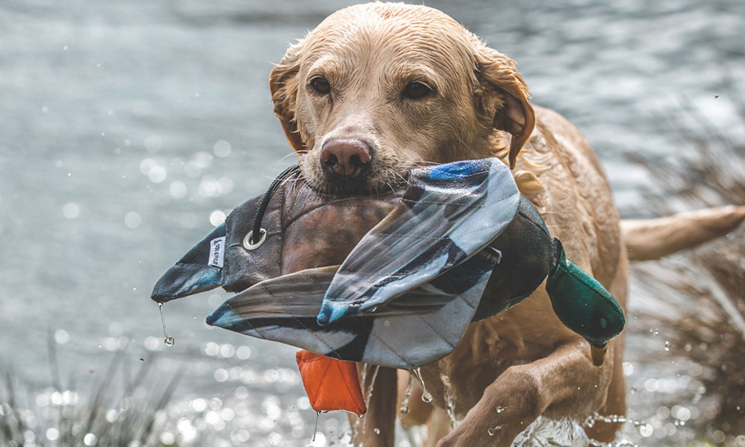 NEU!!! Stockenten und Tauben dead birds von DOG&FIELD