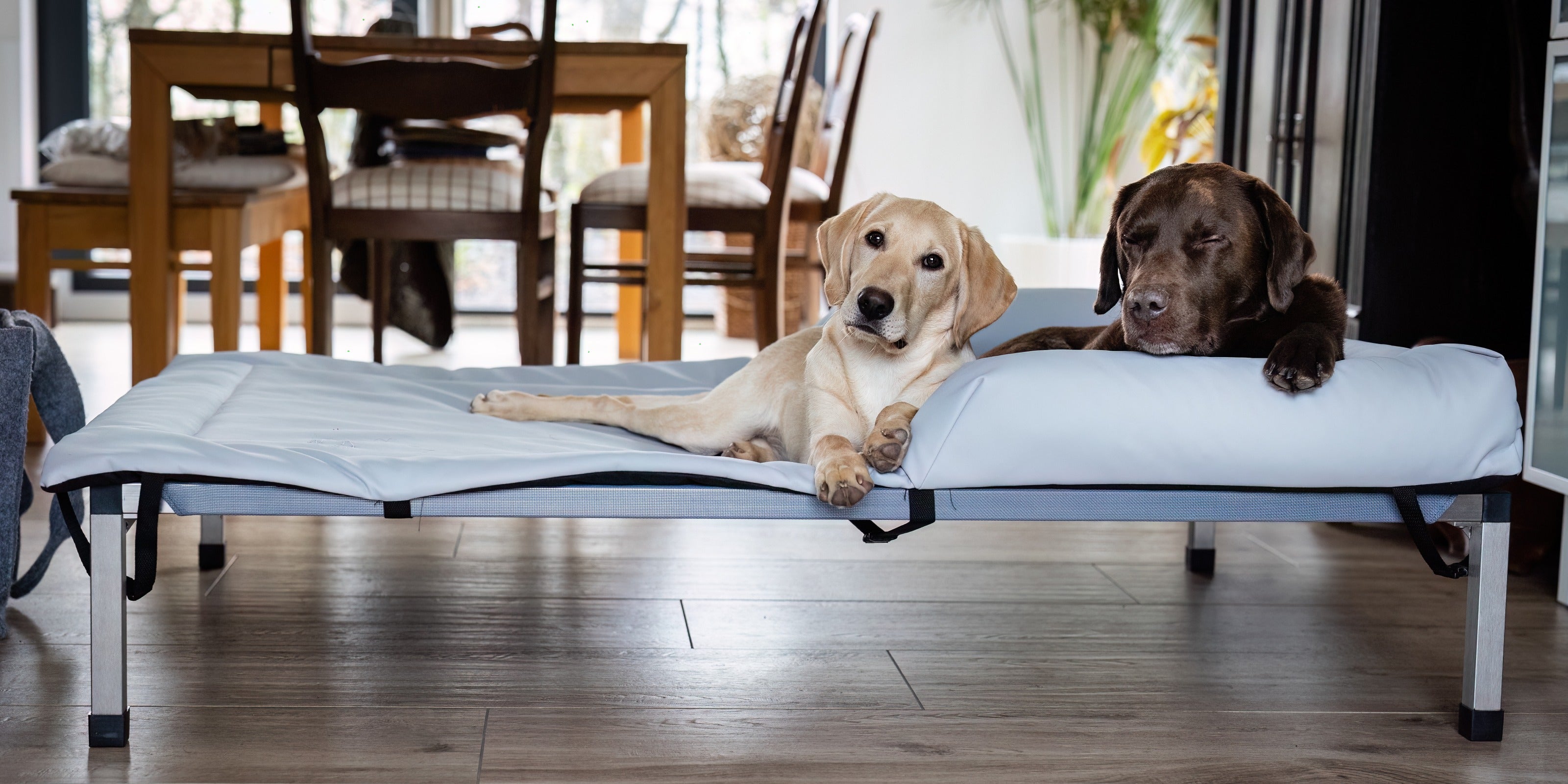 ANADI Indoor/Outdoor Hundeliegen bis XXXL