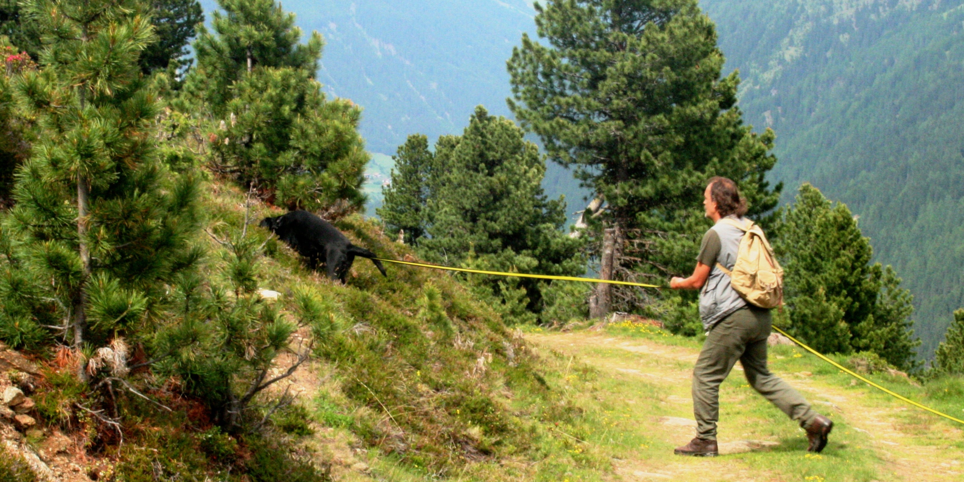 Ausbildung Jagdhunde - Schweißarbeit -