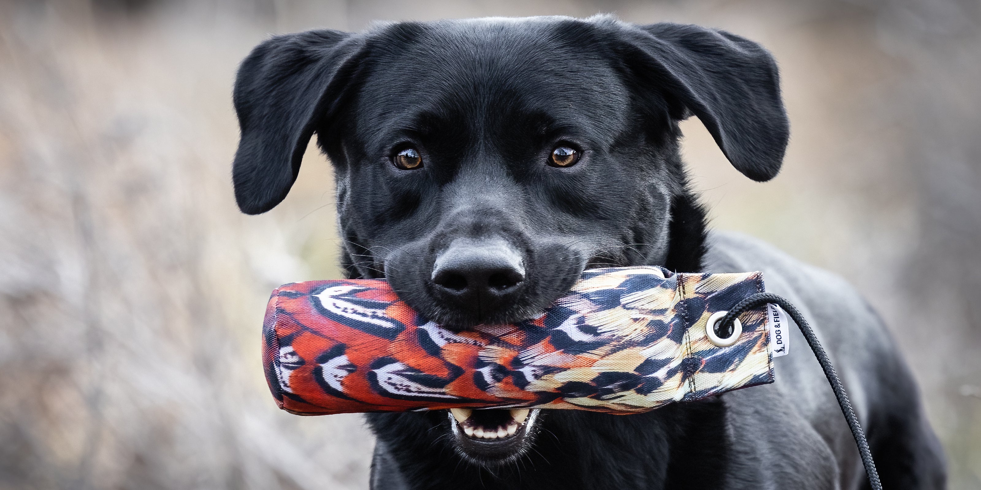 Dog & Field Dummys mit Federn von Wildvögeln bedruckt