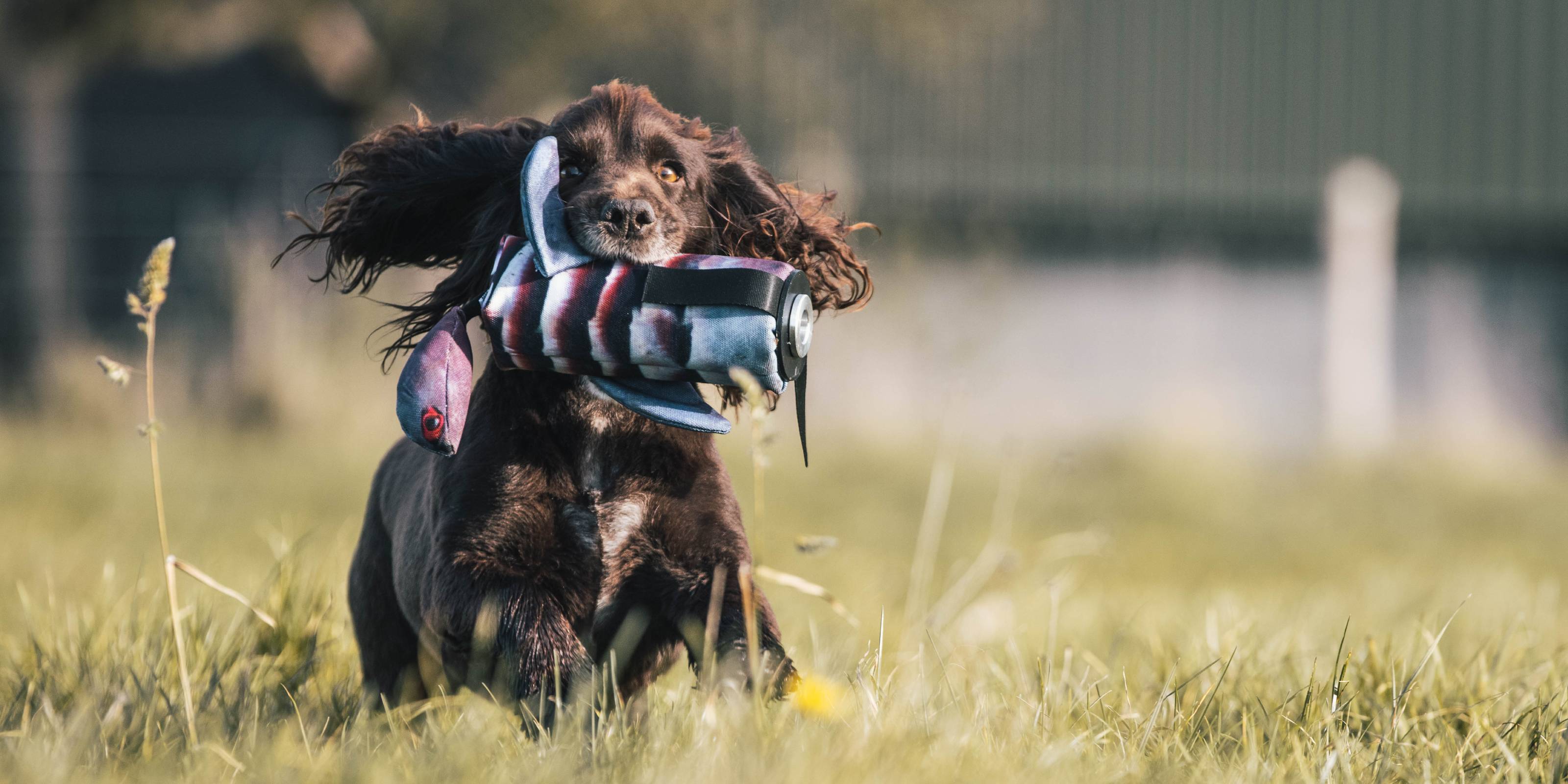 Original Clone®️ Launcher Dummys