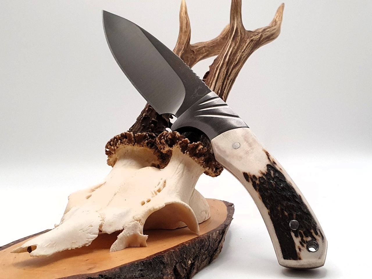 Hochwertiges Allrounder Jagdmesser Voll-Erl, Mova Stahl mit Hirschhorngriff