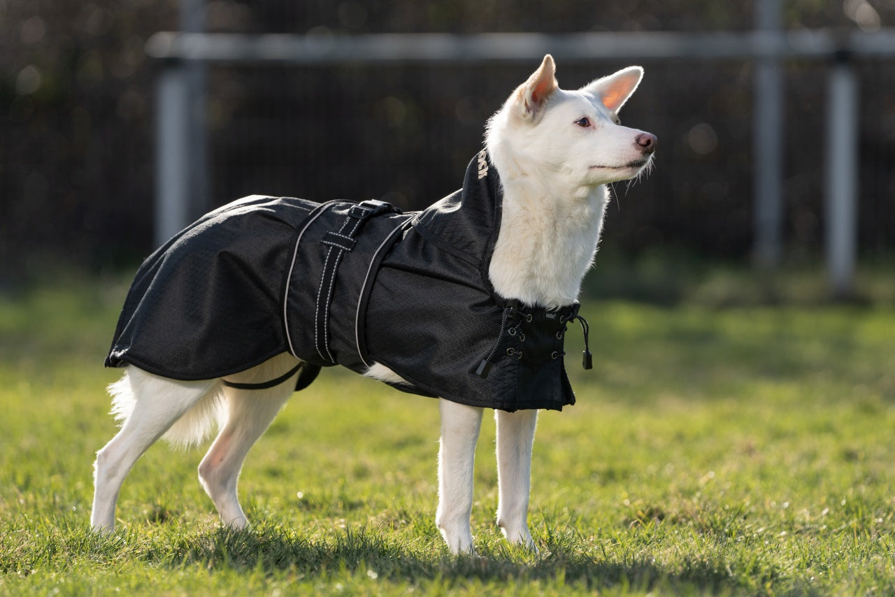 Allwetter Hundemantel - Regenmantel - ungefüttert Back on Track