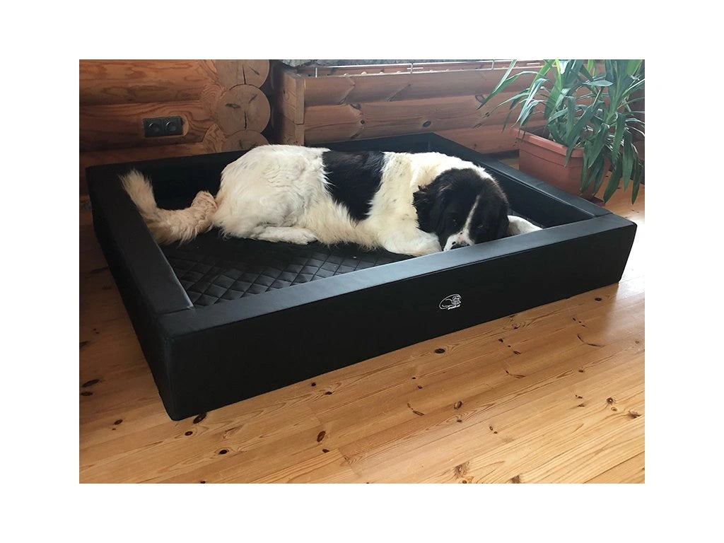 Orthopädisches Hundebett „Anadi 2 in 1 Royal“ – Perfekt ALLE, aber besonders auch für große und schwere Hunderassen