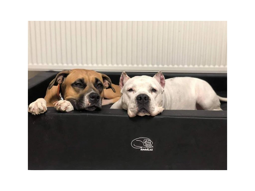 Orthopädisches Hundebett „Anadi 2 in 1 Royal“ – Perfekt ALLE, aber besonders auch für große und schwere Hunderassen