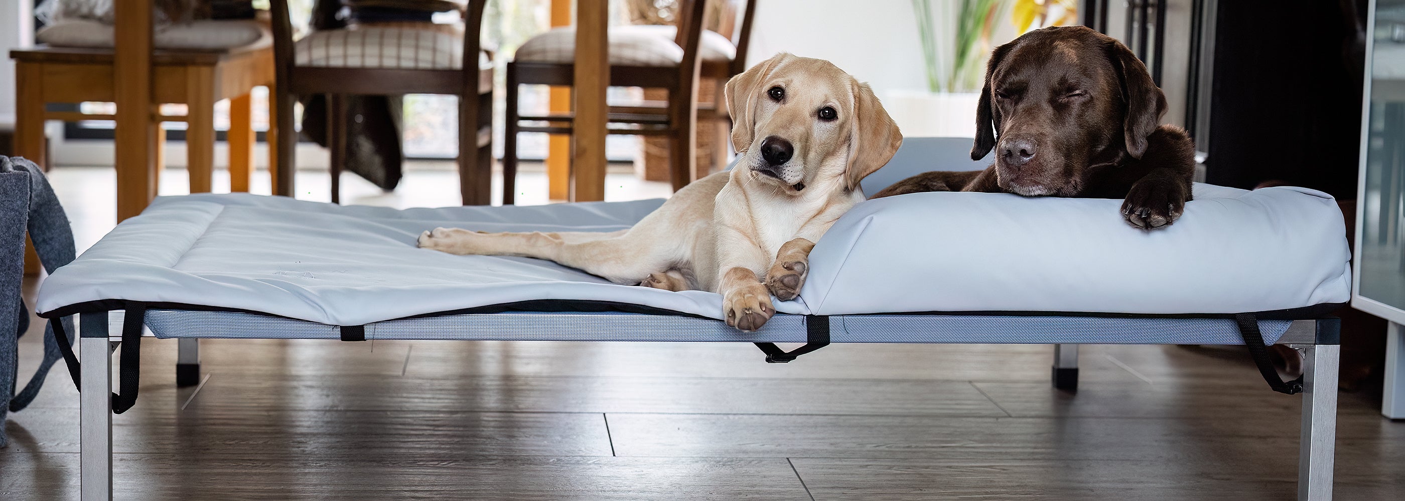 ANADI Indoor und Outdoor Hundeliege Massiv mit 2 Labrador Retrievern