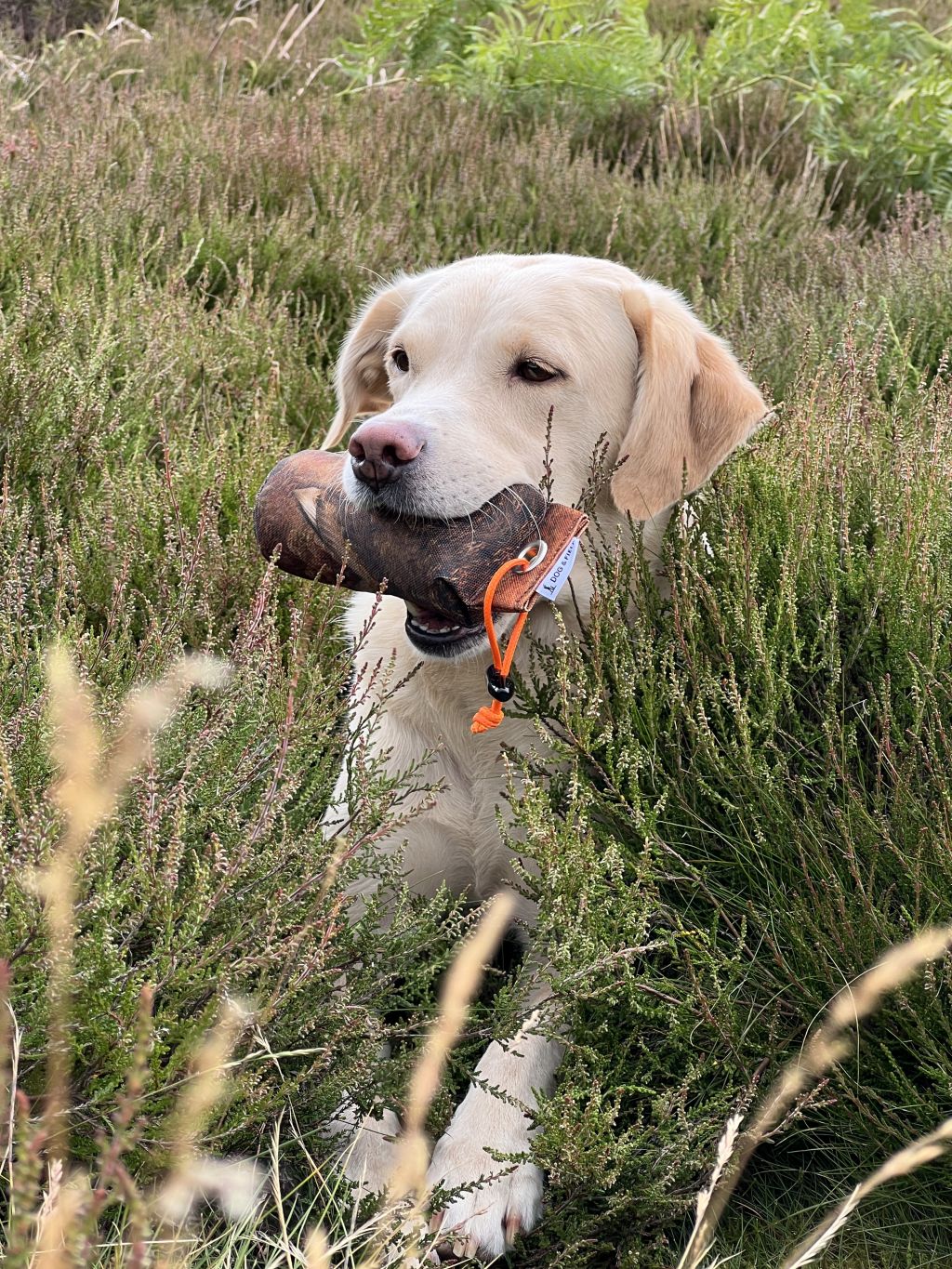 DOG&FIELD Original Clone®️ 1/2lb- 227 g. Dummy BIRKHUHN