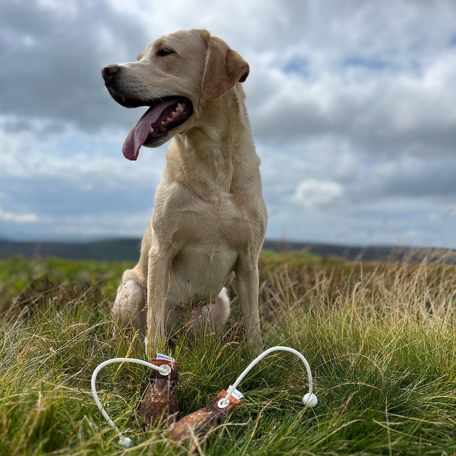 DOG&FIELD The Original Clone®️ Dummyball BIRKHUHN