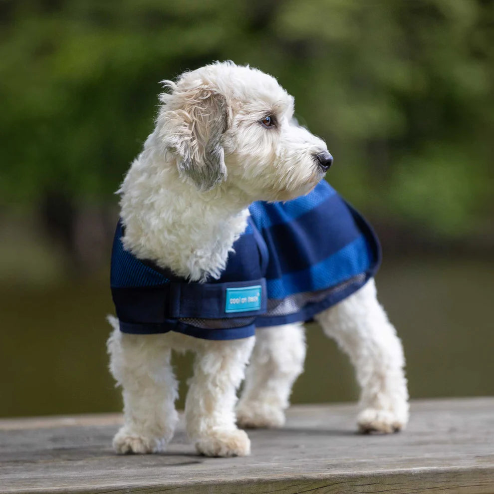 Cool on Track®️ Hundemantel mit Kühl-Effekt 2.0