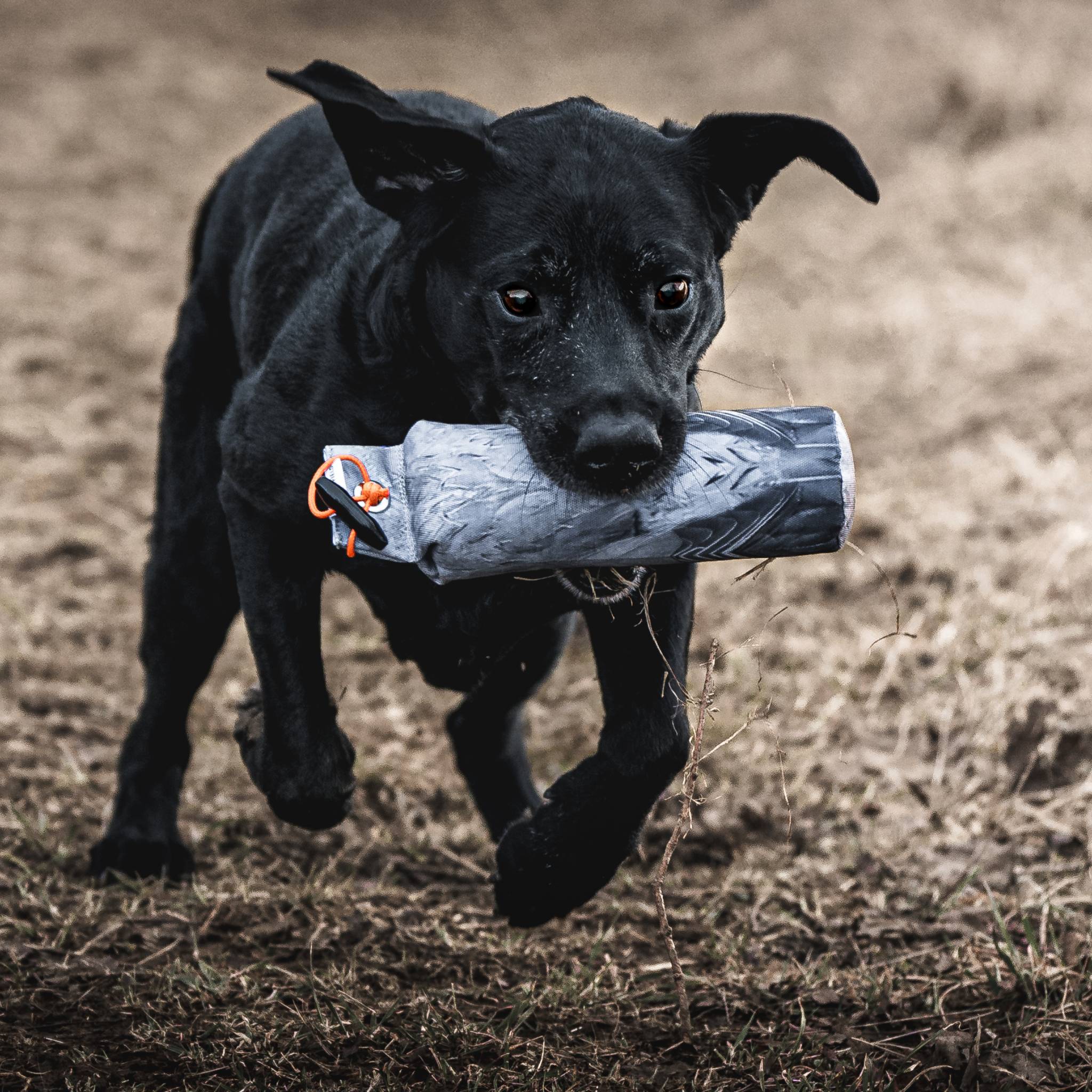 DOG&FIELD Original Clone®️ 1/2lb- 227 g. Dummy TAUBE