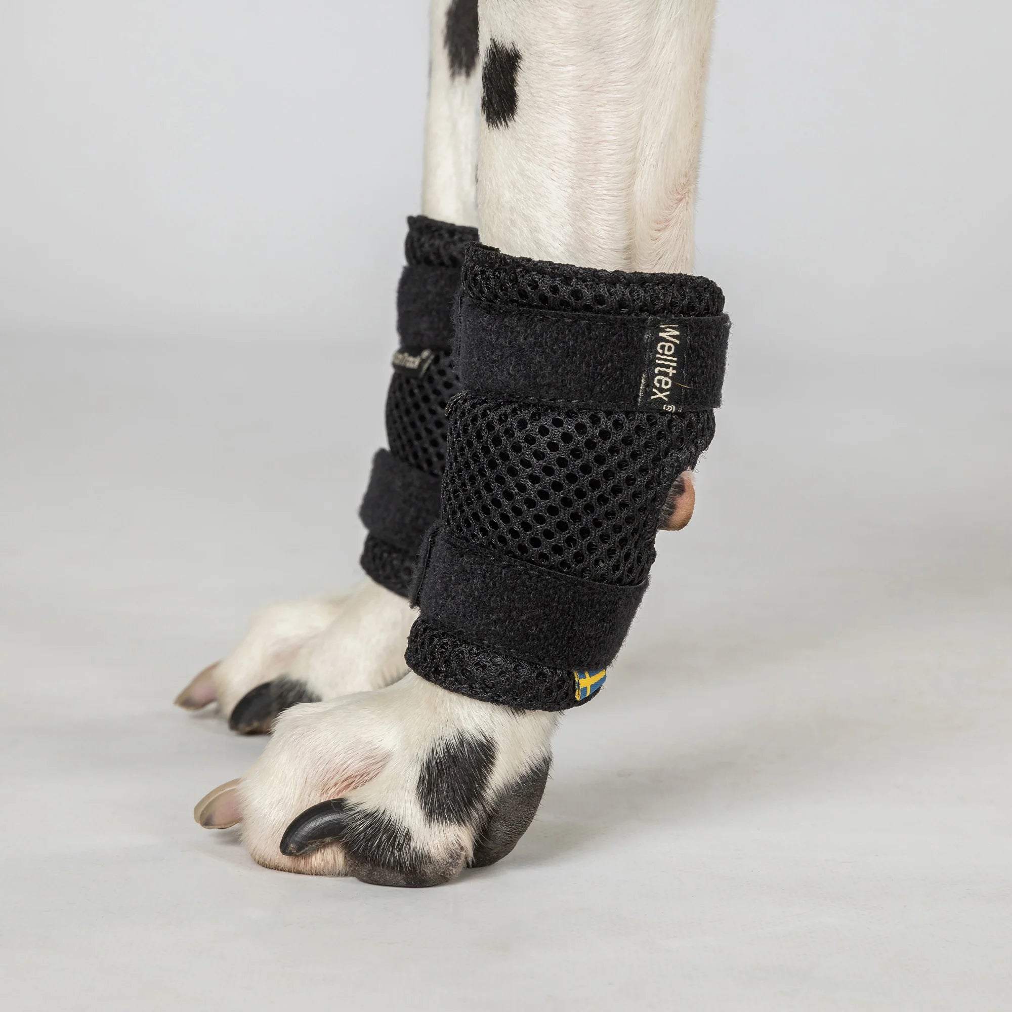 Hundegelenkschoner "Milo"