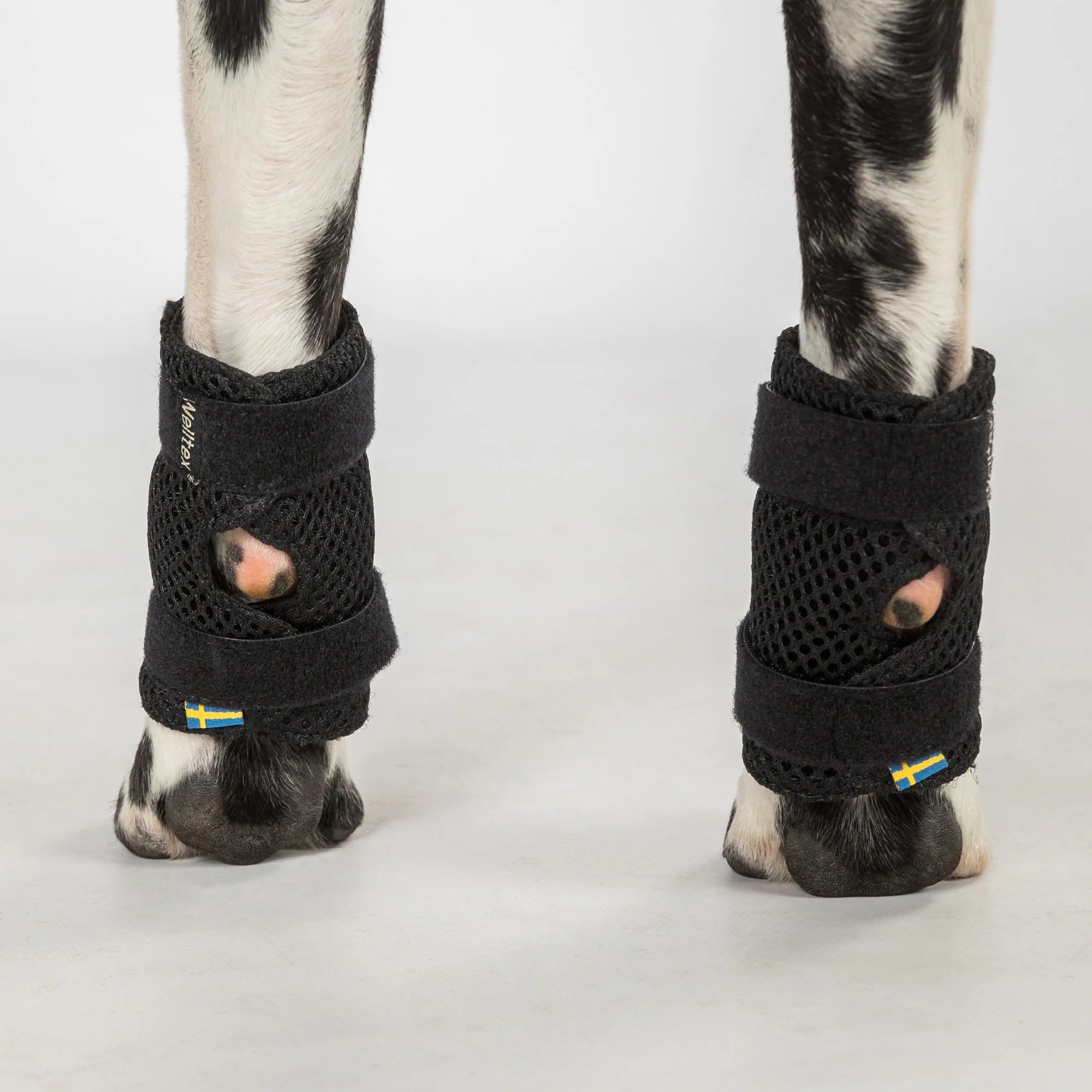 Hundegelenkschoner "Milo"