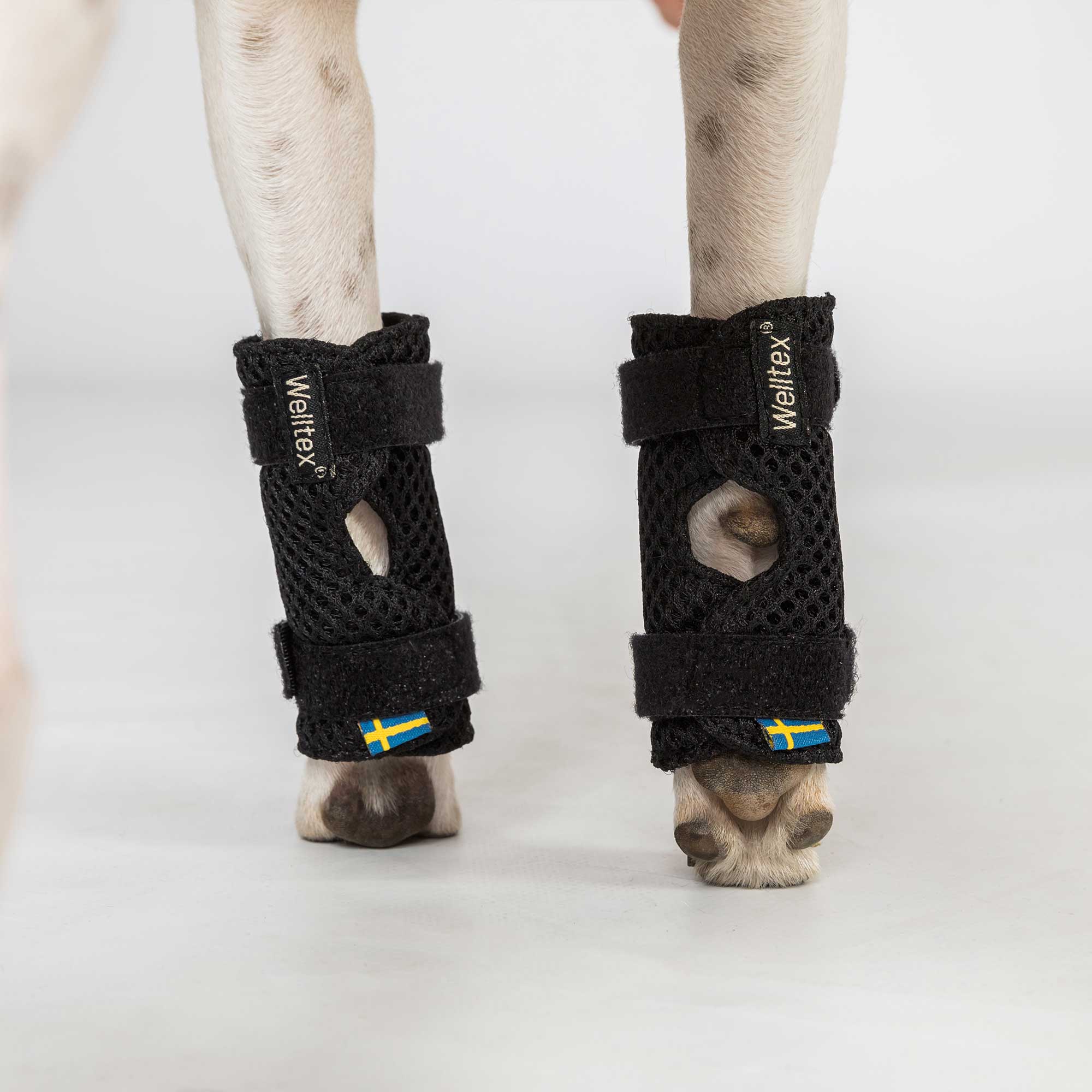 Hundegelenkschoner "Milo"