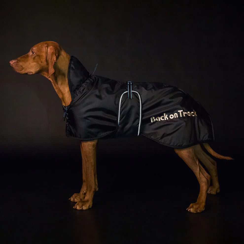 Hunde Standardmantel von Back on Track mit Welltex®-Fütterung