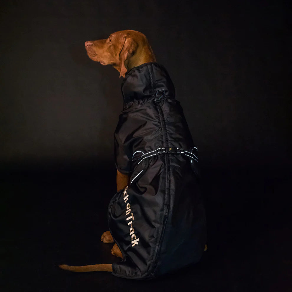 Hunde Standardmantel von Back on Track mit Welltex®-Fütterung