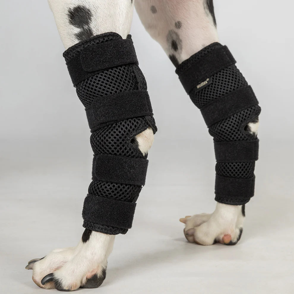 Sprunggelenkschoner für die Hinterläufe vom Hund mit Klettverschluss "Dixie"