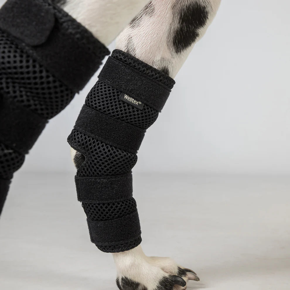Sprunggelenkschoner für die Hinterläufe vom Hund mit Klettverschluss "Dixie"