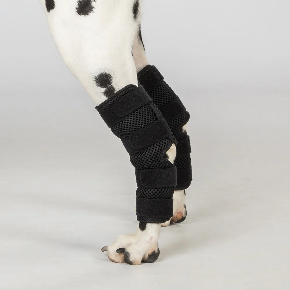 Sprunggelenkschoner für die Hinterläufe vom Hund mit Klettverschluss "Dixie"