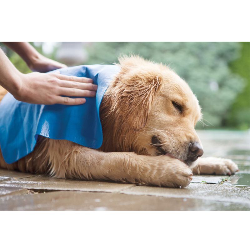 Trockentuch - Hundetuch nimmt 50% mehr Wasser auf