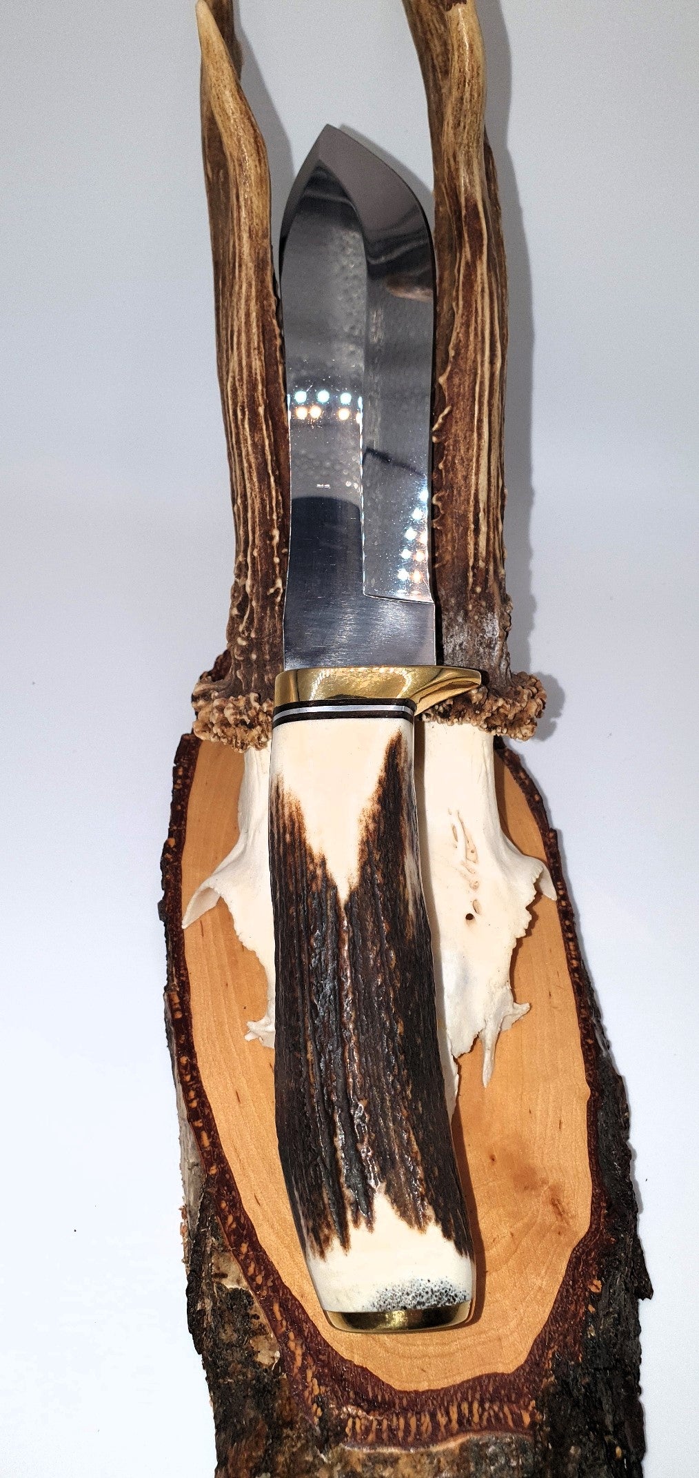 Edles Jagdmesser nach White Hunter Art, Zwinge Alpaka, Hirschhorngriff