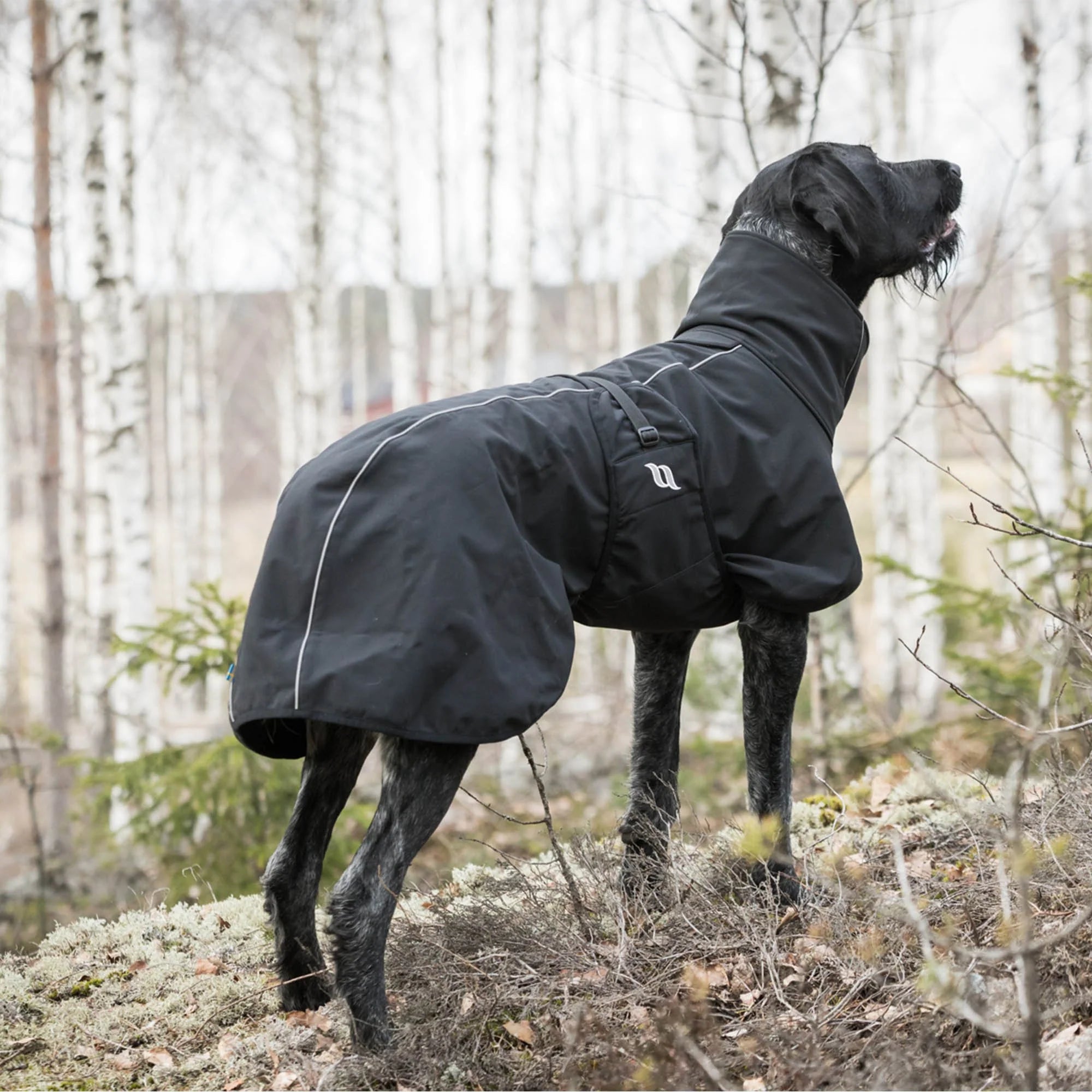 "Nella" Allround Hundemantel von Back on Track in schwarz 25-90 cm Rücken