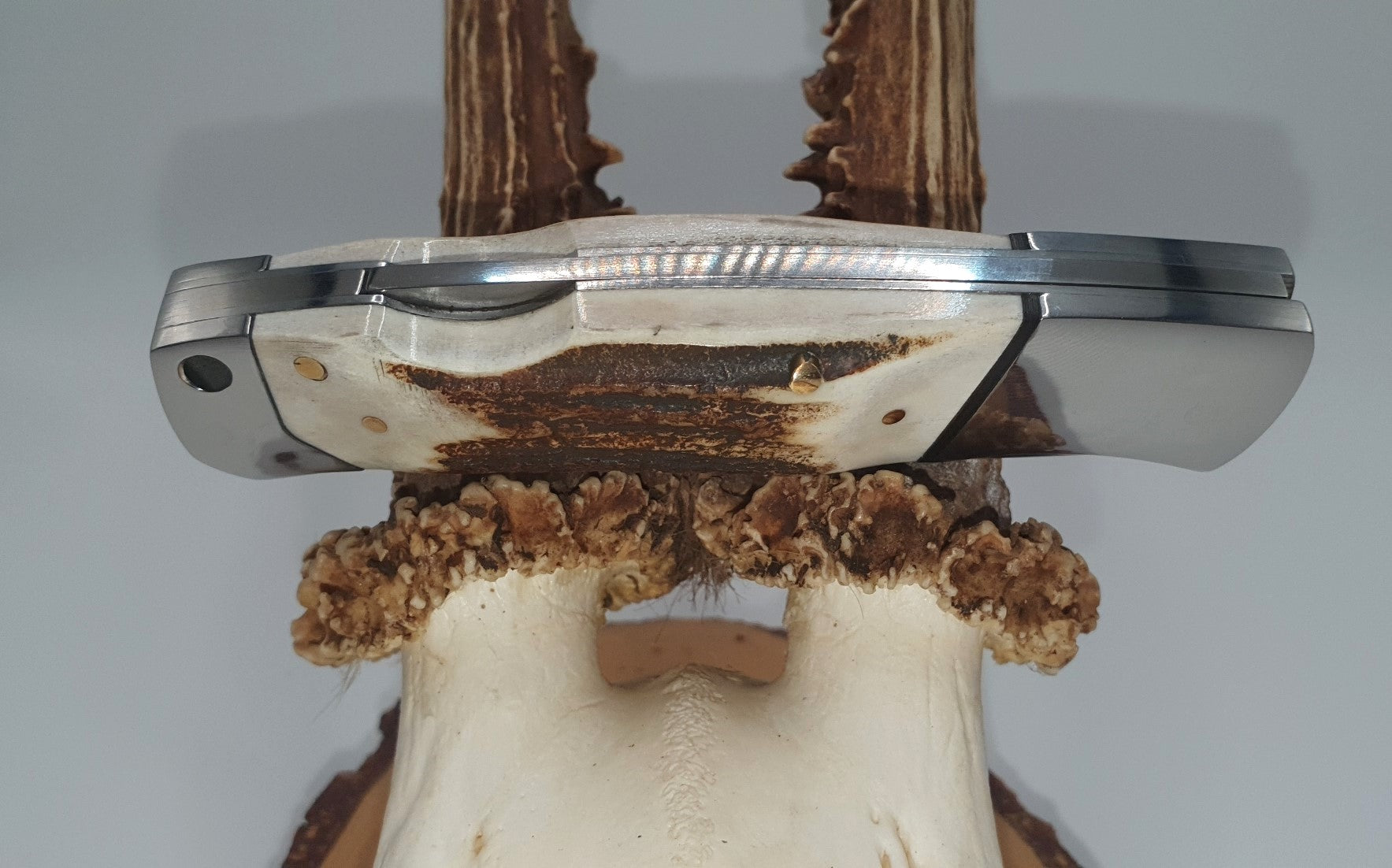 Hochwertiges und edles Guerrero Knives Taschenmesser / Integralmesser mit Hirschhorngriff