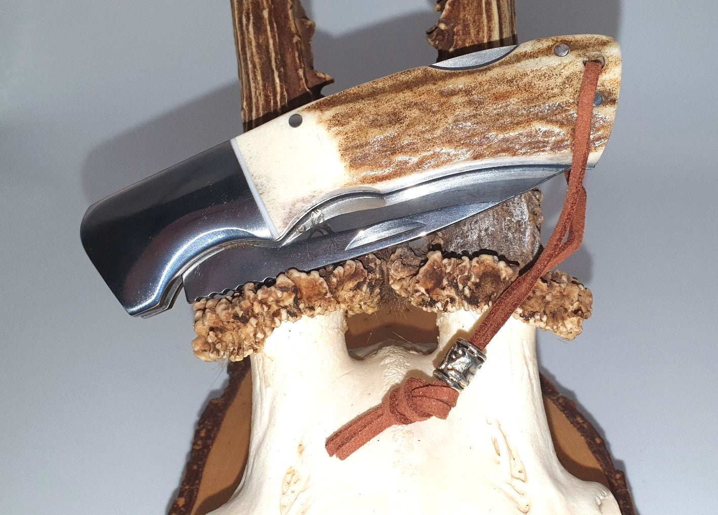 Des Jägers Lieblingstaschenmesser: Bushcraft-, Survival- oder Jagdmesser mit Hirschhorngriff