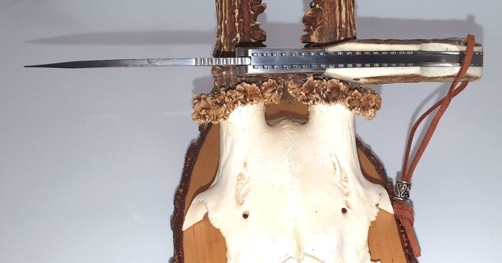 Des Jägers Lieblingstaschenmesser: Bushcraft-, Survival- oder Jagdmesser mit Hirschhorngriff