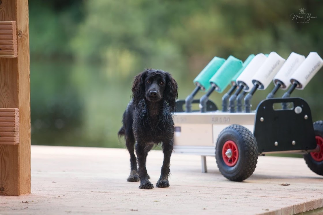 8-Shooter, der air&go Dummylauncher von made4dogs, Foto mit Spaniel