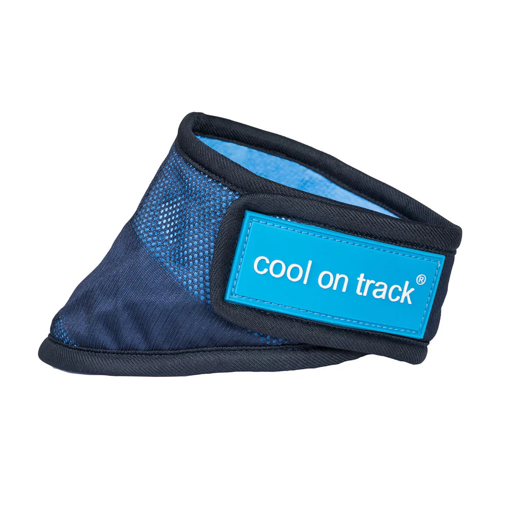 Cool on Track®️ Kühl-Bandana von Back on Track