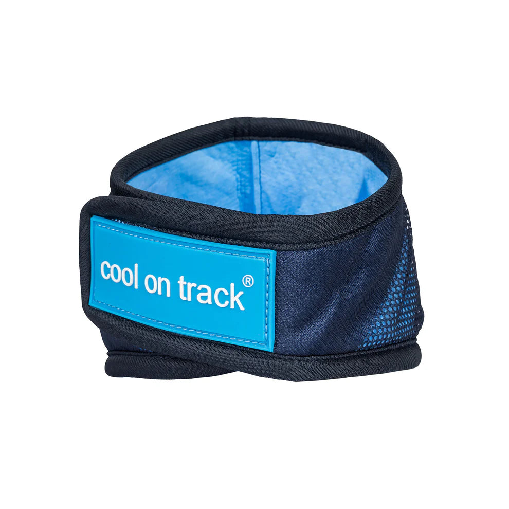 Cool on Track®️ Kühl-Bandana von Back on Track