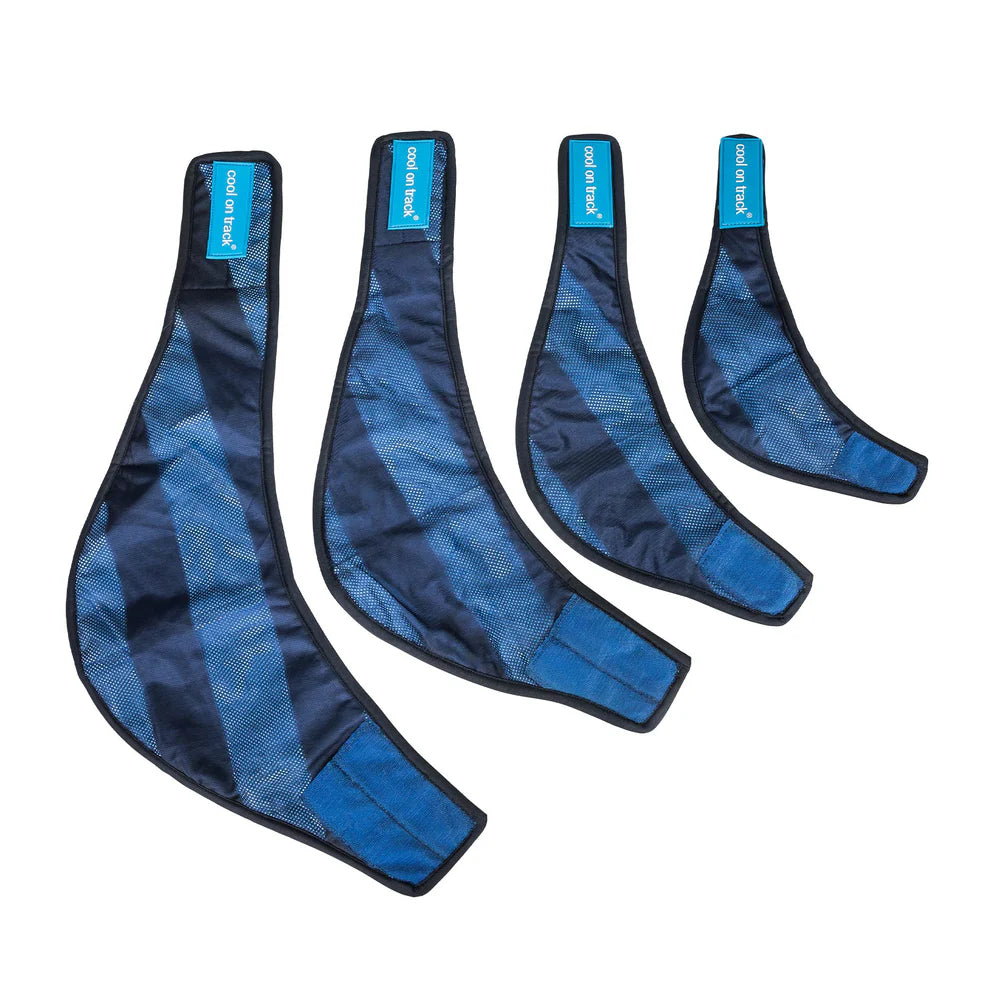 Cool on Track®️ Kühl-Bandana von Back on Track