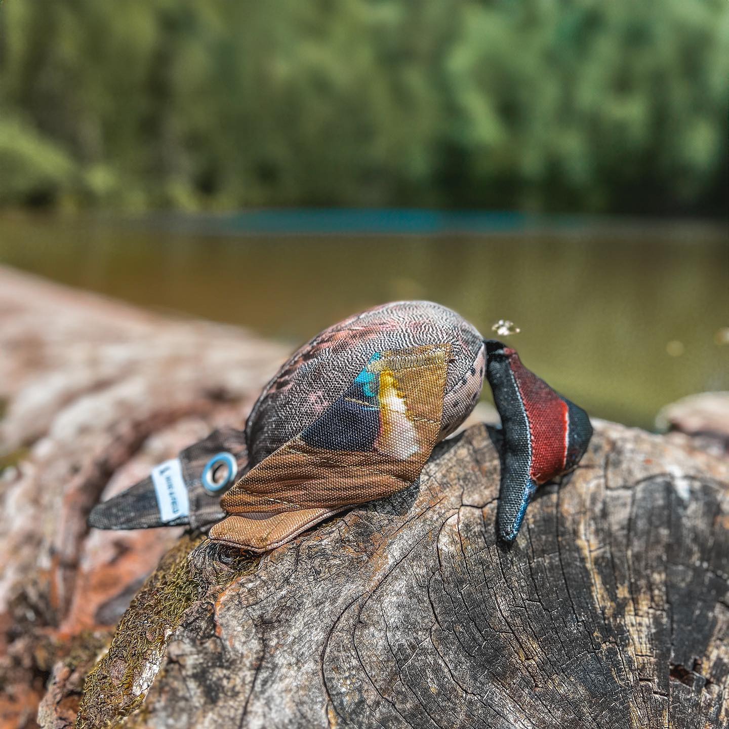 DOG&FIELD "dead bird" Vogelattrappe KRICKENTE