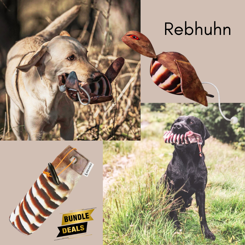 Dog&Field Rebhuhn Spar-Paket