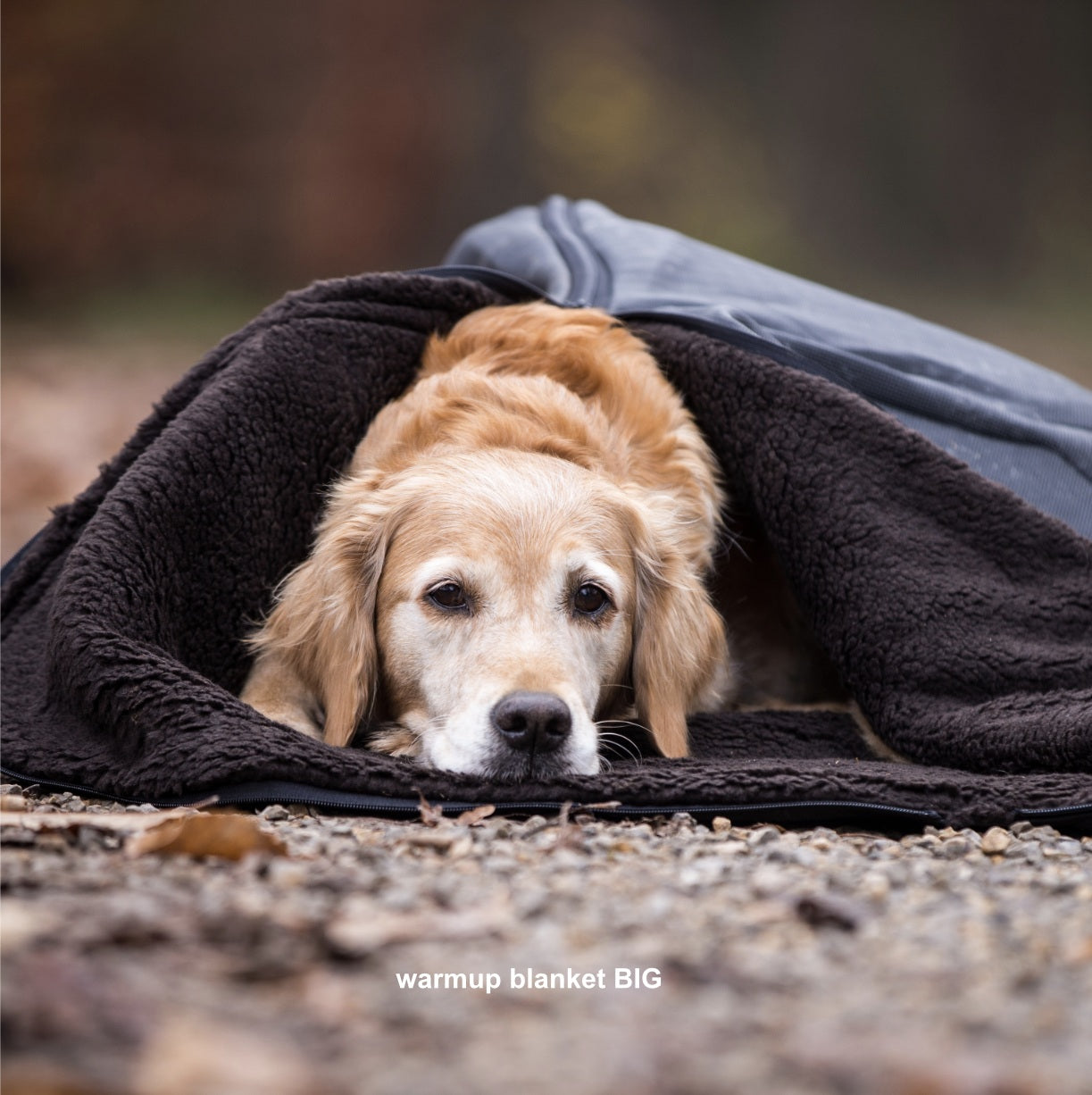 Outdoor Hundedecke warmup© BLANKET "BIG" -braun- zusammenrollbar mit Tragegurt