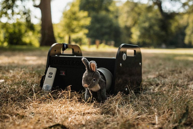 Rabbit&GO Flitzedummy der neuen Generation