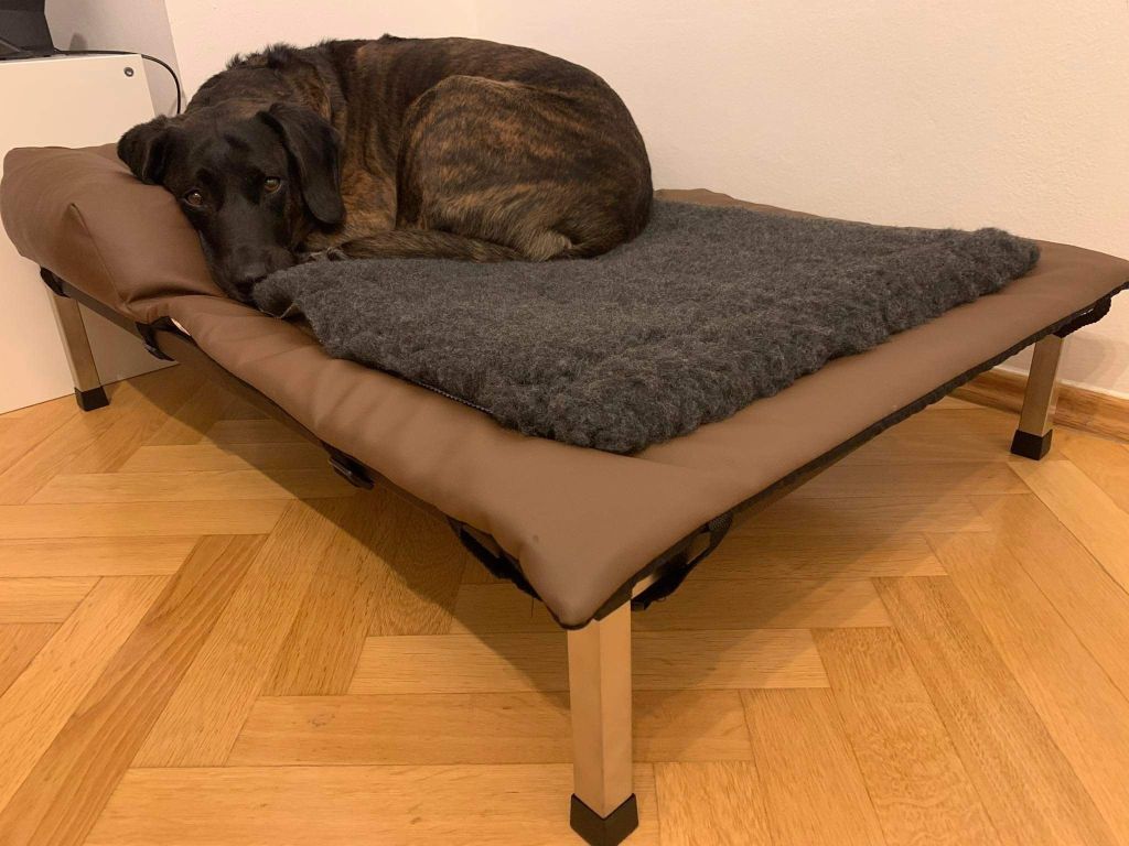 VET-BED Merino 50/50 - DRY-BED * VET-BED aus England mit Anti-Rutsch-Rückseite