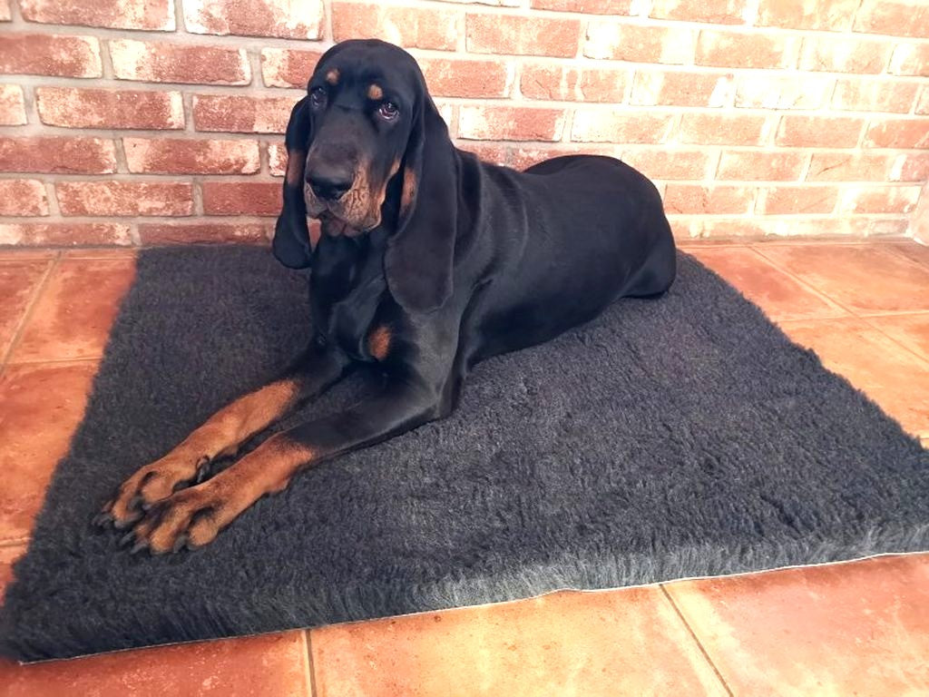 VET-BED Merino 50/50 - DRY-BED * VET-BED aus England mit Anti-Rutsch-Rückseite