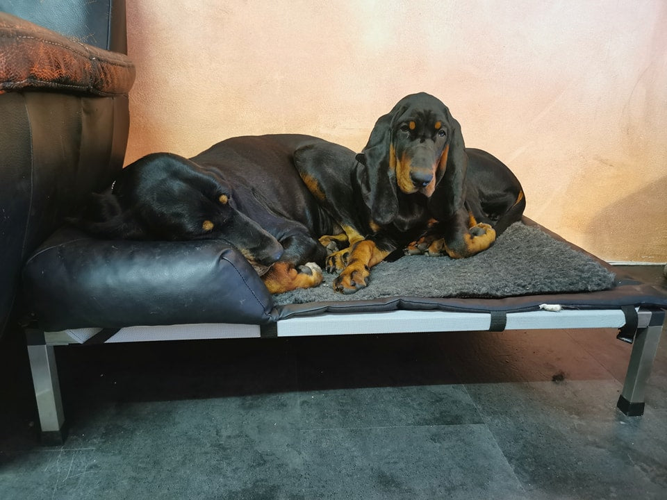 VET-BED Merino 50/50 - DRY-BED * VET-BED aus England mit Anti-Rutsch-Rückseite