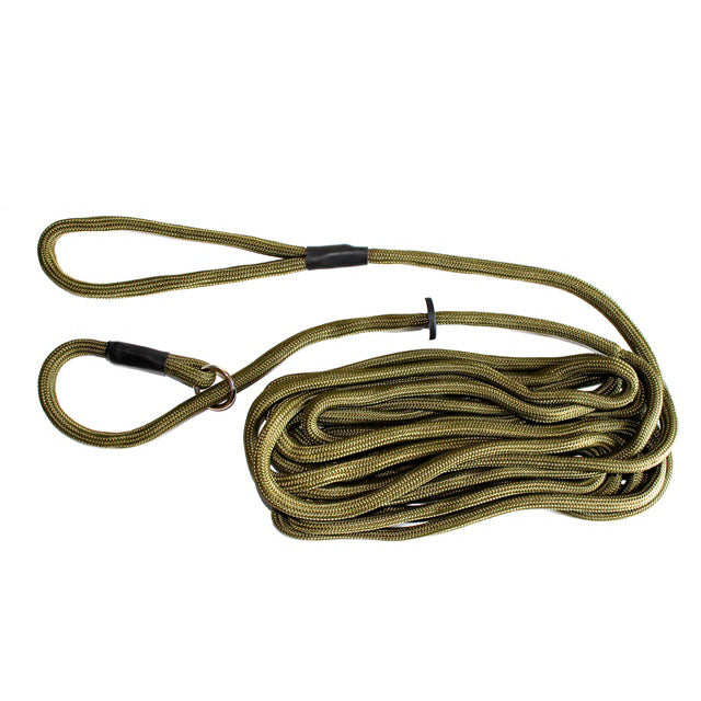 Zwei in Eins: 6 Meter Trainingsleine von dog&field