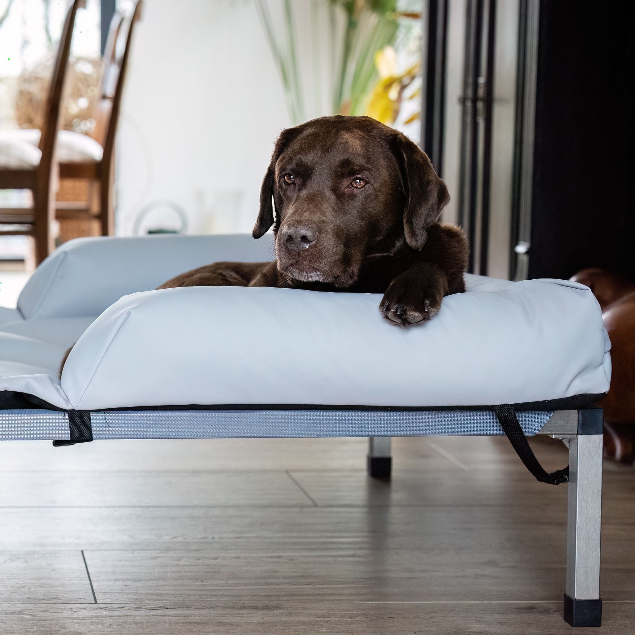 Hundeliege ANADI Massiv Größe XL, XXL, XXXL - Luxusliege für Hunderassen über 60 kg - 10 Jahren Garantie!*