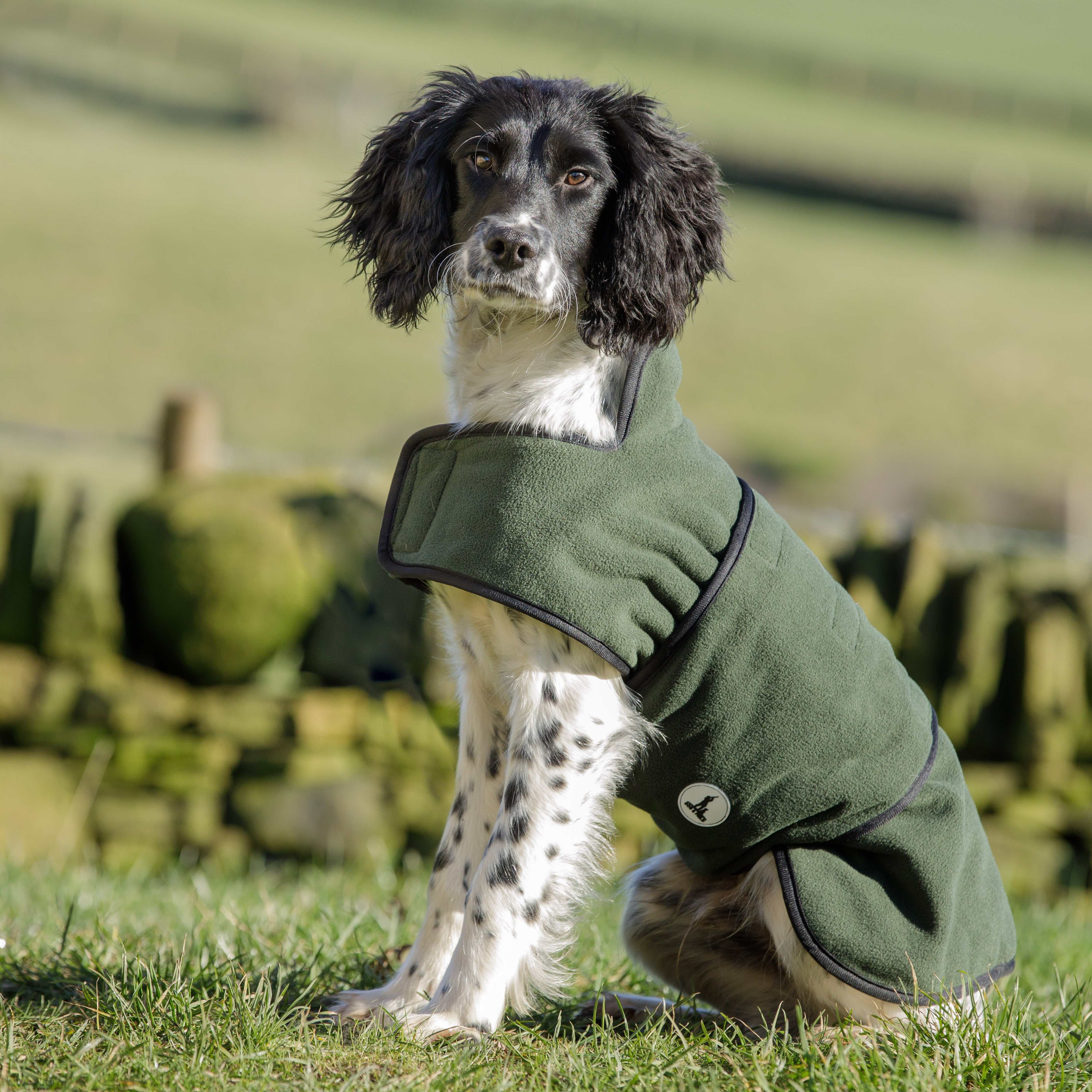 2in1 Wasserdichter Hundemantel zum Trocknen und/oder Aufwärmen von dog & field Größe XS bis XXL