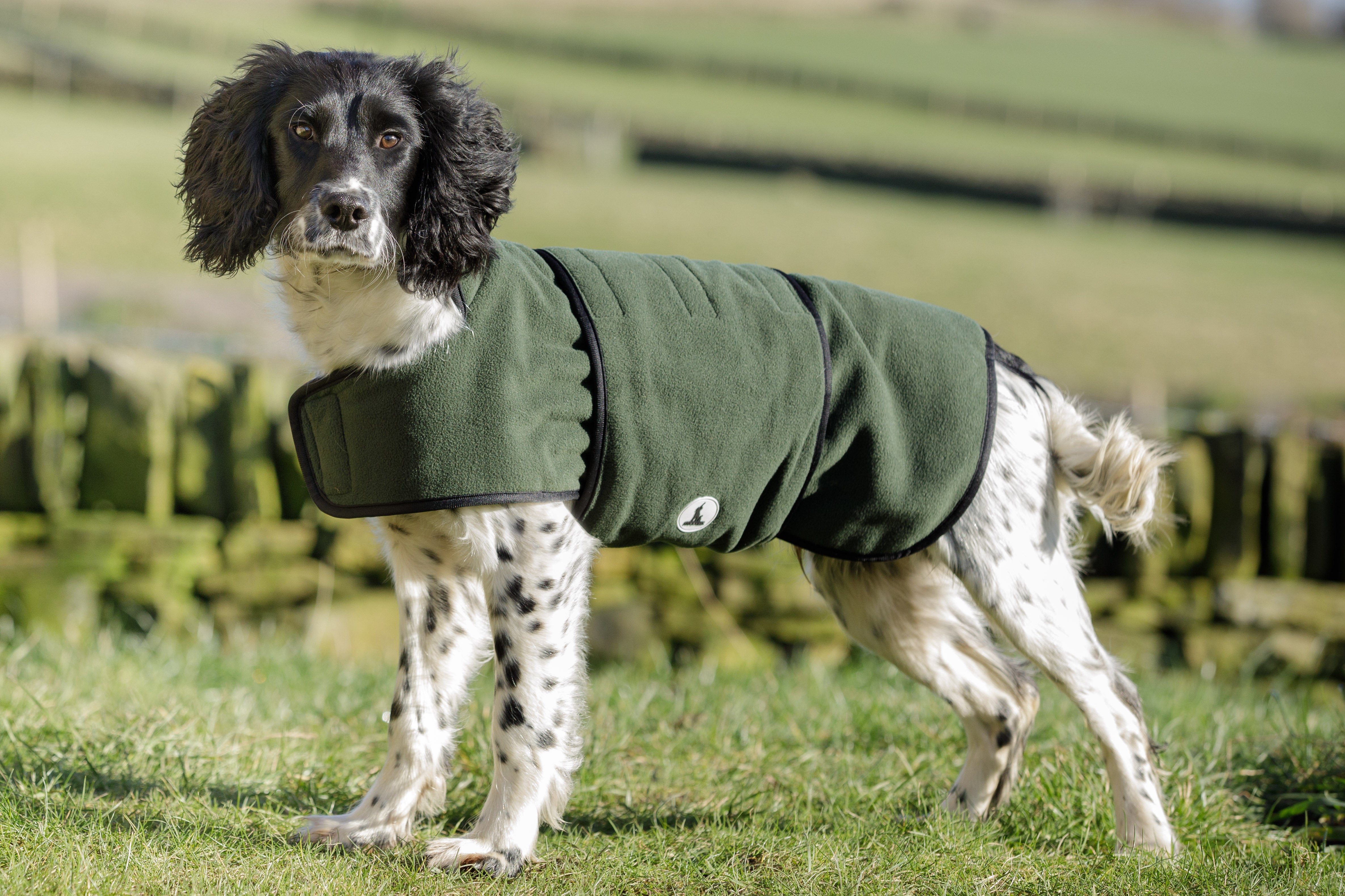 2in1 Wasserdichter Hundemantel zum Trocknen und/oder Aufwärmen von dog & field Größe XS bis XXL