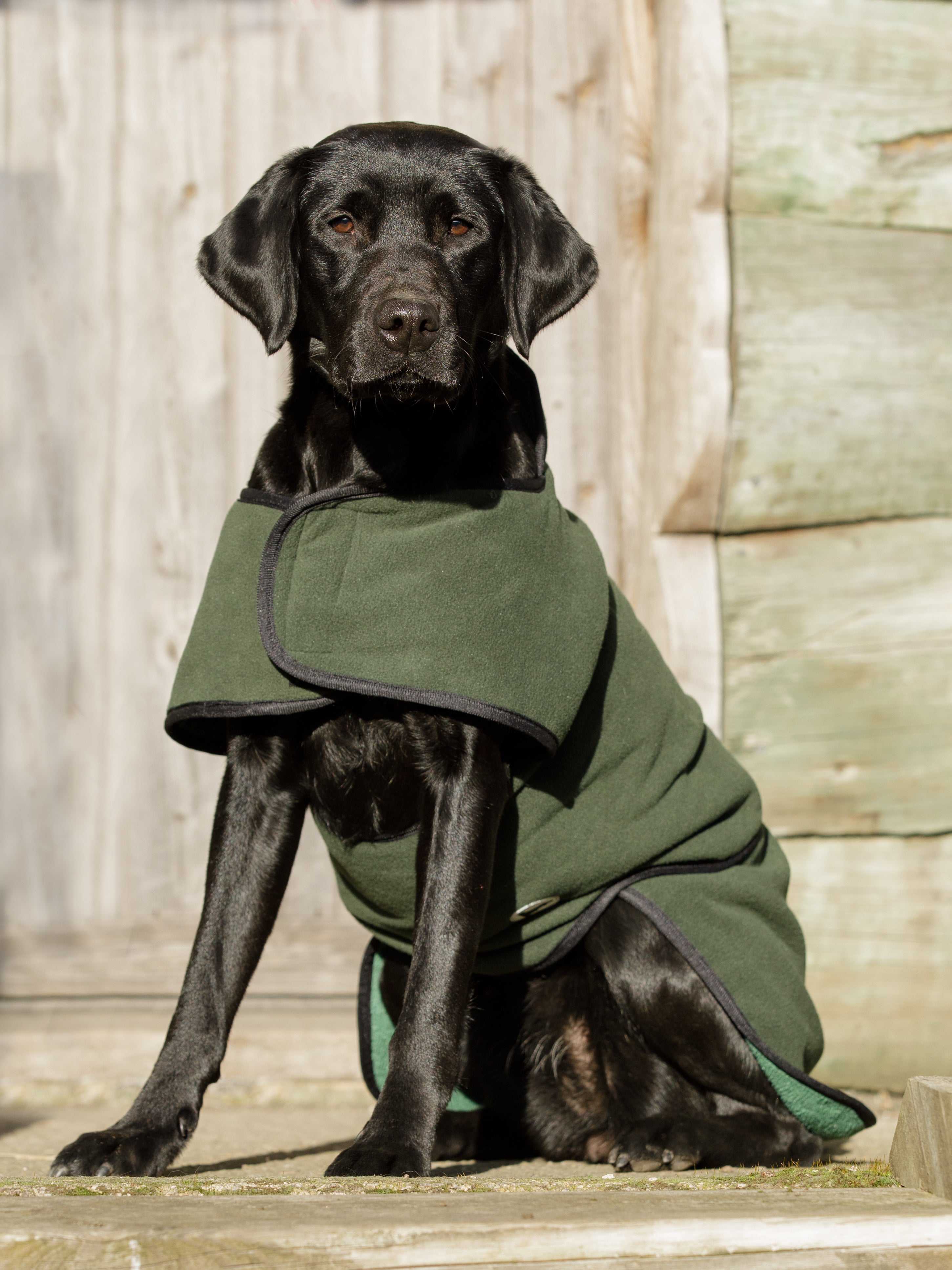 2in1 Wasserdichter Hundemantel zum Trocknen und/oder Aufwärmen von dog & field Größe XS bis XXL